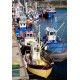 Puzzle port de quiberon en bretagne 1000 piÈces 69x48cm - alipson puzzle-3667232501025-lilojouets-questembert-muzillac-morbihan