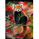 Puzzle panda roux 1000 piÈces 48x69cm - alipson puzzle-3770001500355-lilojouets-questembert-muzillac-morbihan
