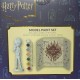 Kit figurine harry potter 15cm a peindre - pinceau et peinture inclus - asst-5015934863374-lilojouets-questembert-muzillac-morbi