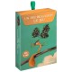 Jeu un peu beaucoup - l'Écureuil - dÈs 5 ans - École des loisirs-3127020507948-lilojouets-questembert-muzillac-morbihan