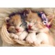 Puzzle chatons dormants - 500 piÈces 48x34cm - trefl-5900511372717-lilojouets-questembert-muzillac-morbihan