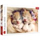 Puzzle chatons dormants - 500 piÈces 48x34cm - trefl-5900511372717-lilojouets-questembert-muzillac-morbihan