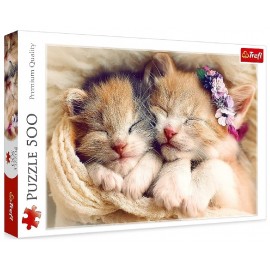 PUZZLE CHATONS DORMANTS - 500 PIÈCES 48X34CM - TREFL-5900511372717-Lilojouets-Questembert-Muzillac-Morbihan