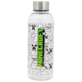 GOURDE MINECRAFT - BOUTEILLE TRANSPARENTE EN PLASTIQUE 850ML 22CM-8412497313518-Lilojouets-Questembert-Muzillac-Morbihan