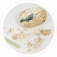 Oeuf dinosaure surprise a deterrer 8cm - dÈs 6 ans - buki-3700802102052-lilojouets-questembert-muzillac-morbihan