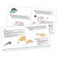 Kit crÉatif tatouages pailletÉs - dÈs 8 ans - be teens buki-3700802101857-lilojouets-questembert-muzillac-morbihan