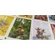 Jeu pixies - jeu de cartes dÈs 8 ans-3760267991158-lilojouets-questembert-muzillac-morbihan