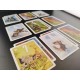 Jeu pixies - jeu de cartes dÈs 8 ans-3760267991158-lilojouets-questembert-muzillac-morbihan