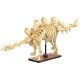 C59012w squelette dinosaure stÉgosaure - 297 piÈces - fossile phospho. - cada-6948061930796-lilojouets-questembert-muzillac-morb