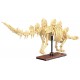 C59012w squelette dinosaure stÉgosaure - 297 piÈces - fossile phospho. - cada-6948061930796-lilojouets-questembert-muzillac-morb