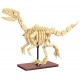 C59014w squelette dinosaure velociraptor - 256 piÈces - fossile phospho. - cada-6948061930819-lilojouets-questembert-muzillac-mo