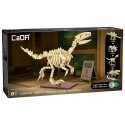 C59014W SQUELETTE DINOSAURE VELOCIRAPTOR - 256 PIÈCES - FOSSILE PHOSPHO. - CADA