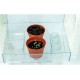 Coffret ma serre botanique high-tech dÈs 8 ans - science&jeu clementoni-8005125528189-lilojouets-questembert-muzillac-morbihan