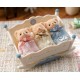 Pack triplÉs bÉbÉs ours biscuit - sylvanian families-5054131058664-lilojouets-questembert-muzillac-morbihan