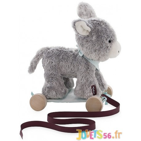 REGLISS ANON A TRAINER LES AMIS - Jouets56.fr - Magasins Jouets SAJOU du Morbihan en Bretagne