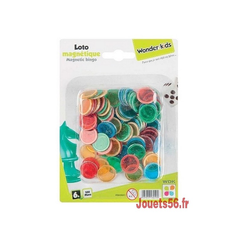 100 pions loto magnetique 