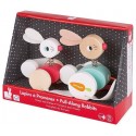 LAPINS A PROMENER BOIS ZIGOLOS